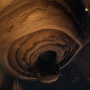 スズメバチの巣.png
